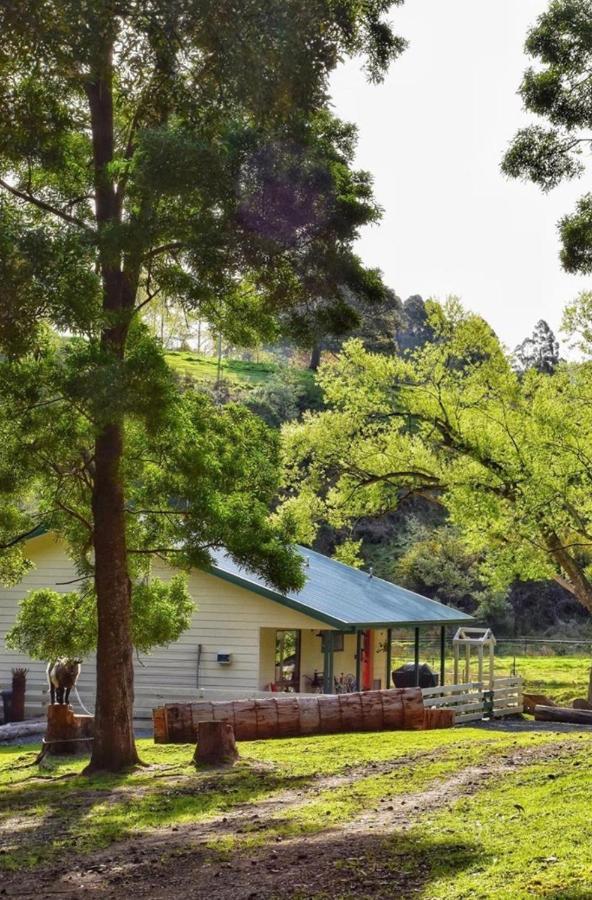 Kymmik Cottage Geeveston Bagian luar foto